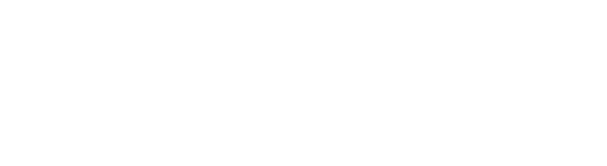 Logo Viareggio Digitale